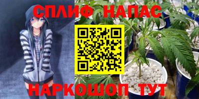 индика Азнакаево
