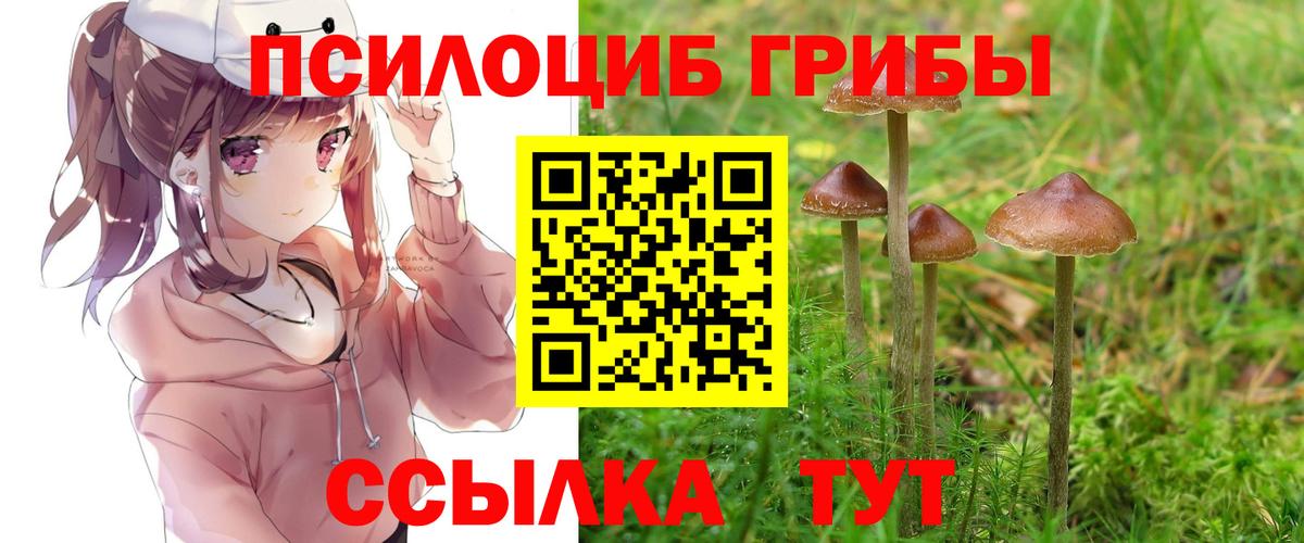 Псилоцибиновые грибы прущие грибы Алексин