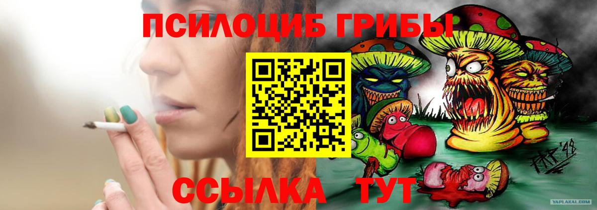 Псилоцибиновые грибы MAGIC MUSHROOMS  как найти наркотики  Алексин  Псилоцибиновые грибы Magic Shrooms  Вход с VPN 